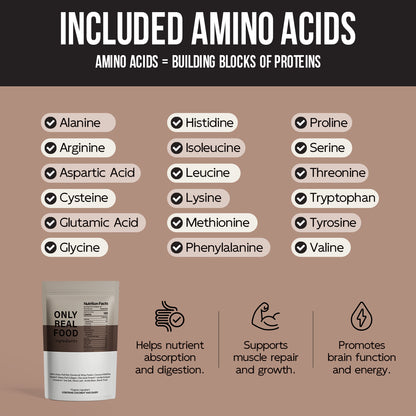 FOLAST Chocolate Protein Powder